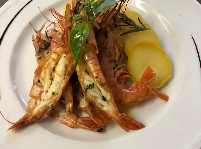 Rest Bellavista * מלויאז